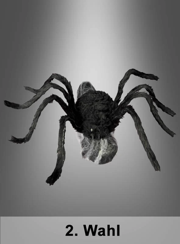 2. Wahl Springende Spinne 70x50cm animiert