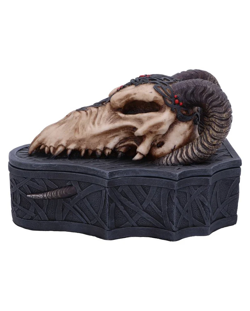 Drachenschädel Totenkopf Box 17,7cm