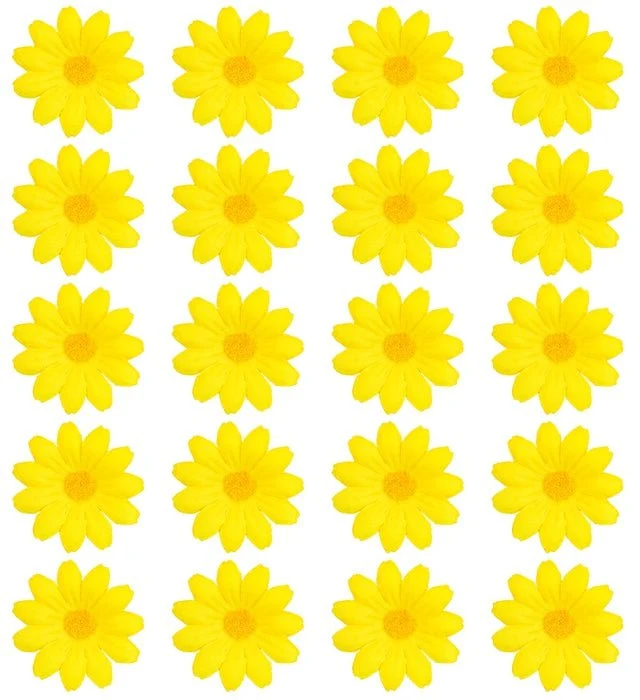Set von 20 dekorativen gelben Blumen