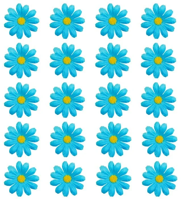 Set mit 20 dekorativen hellblauen Blumen