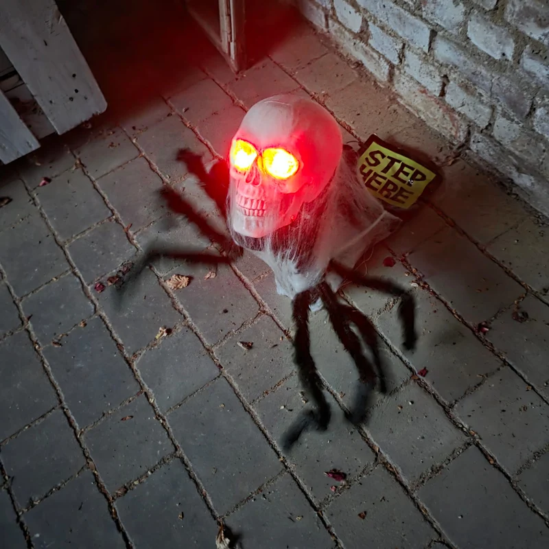 Springende Spinne mit Totenkopf – Schocker pur!