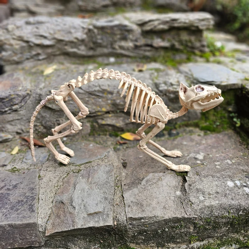 Skelett-Katze „Salem“ – Halloween-Dekoration