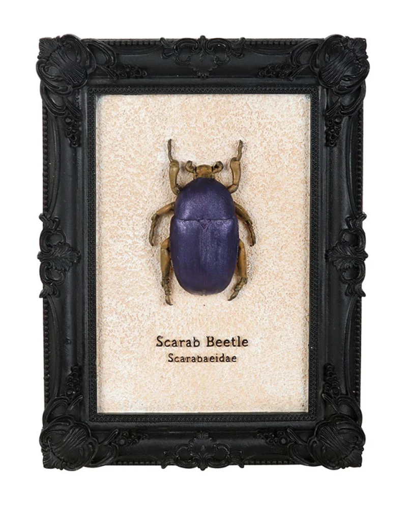 Skarabäus-Käfer im Schwarzen Gothic Rahmen 20cm