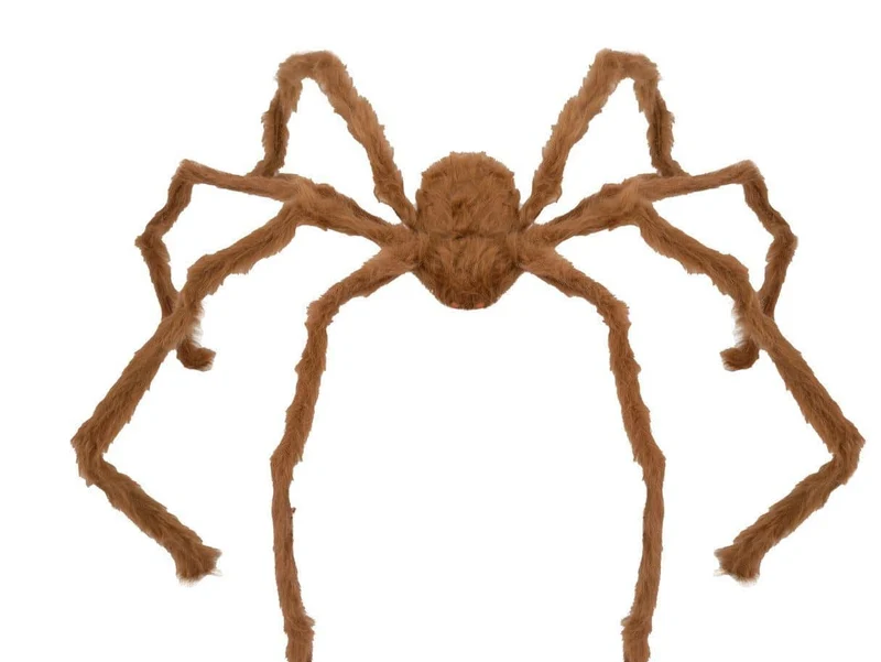 Gruselige Riesenspinne Chewbacca