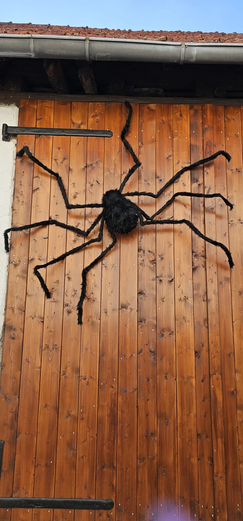 Gigantische gruselige Riesen Spinne