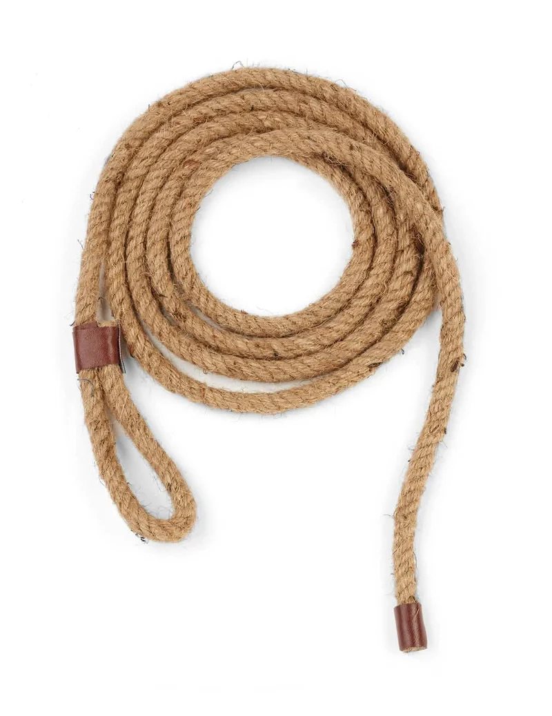Superlanges Lasso
