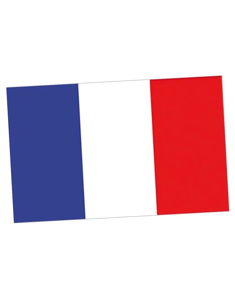 Frankreich Fan Flagge 150 x 90 cm