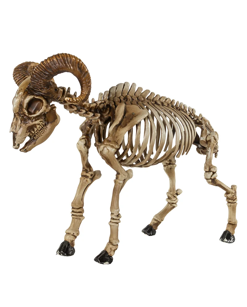 Ziegenbock Skelett Halloween Deko 67cm