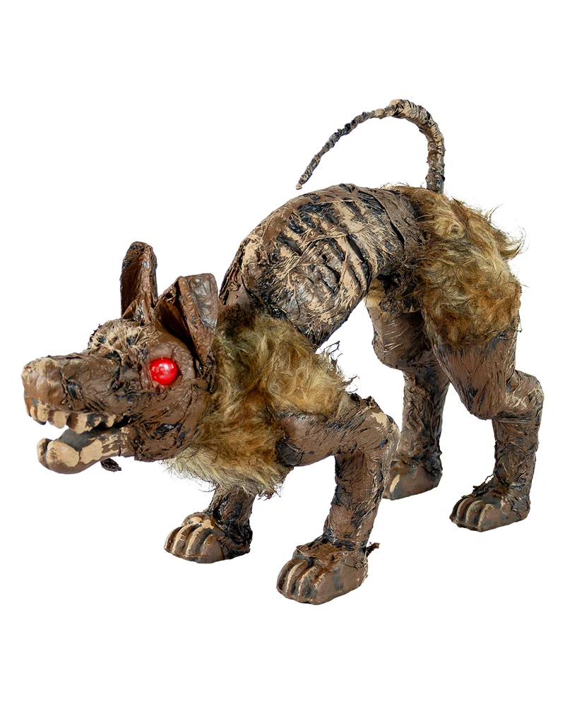 Mumifiziertes Hundeskelett aus dem Moor 51cm