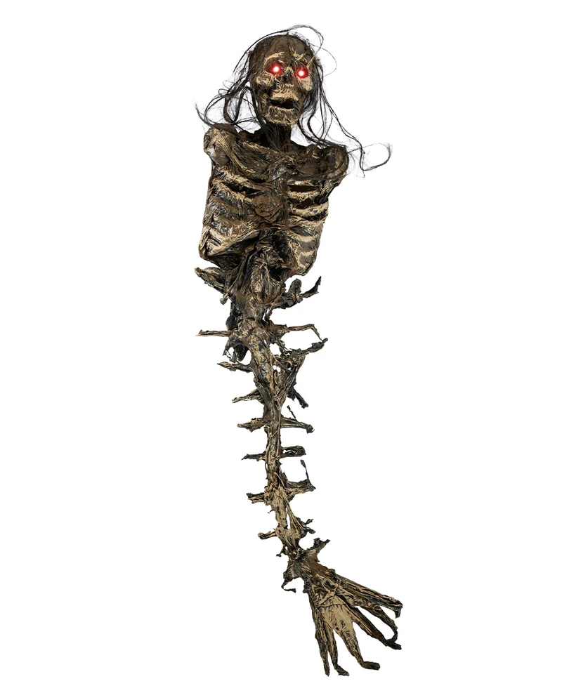 Verottetes Meerjungfrau Skelett 85cm
