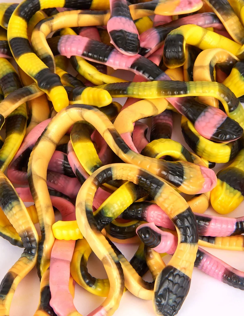 Süßigkeiten in Schlangenform Pit der Python 2 kg