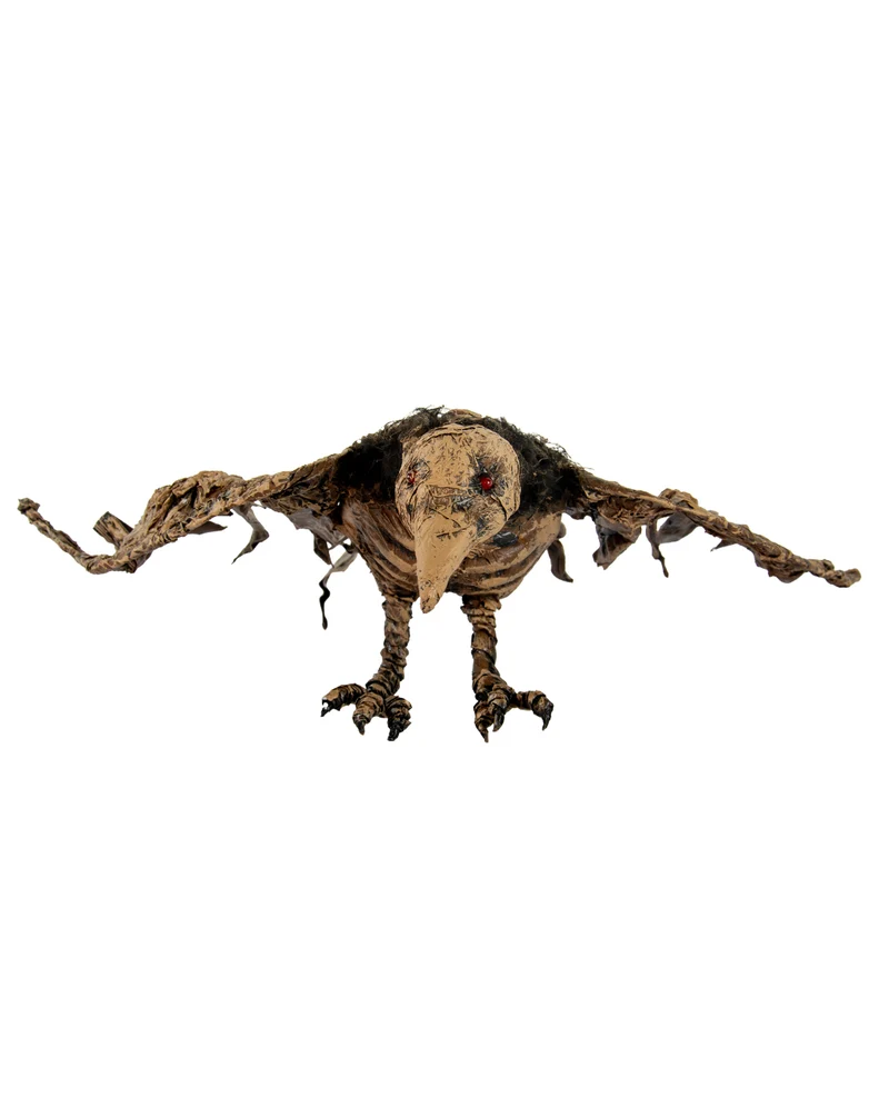 Mumifiziertes Raben Skelett aus dem Moor 55cm