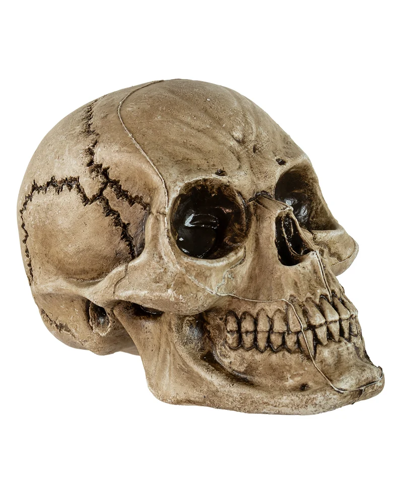 Antiker Morbid Relic Totenschädel 17cm