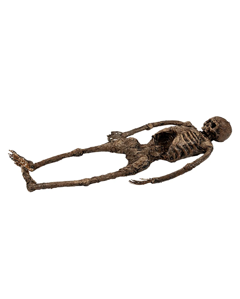 Ganzkörper Skelett einer Moorleiche 145cm