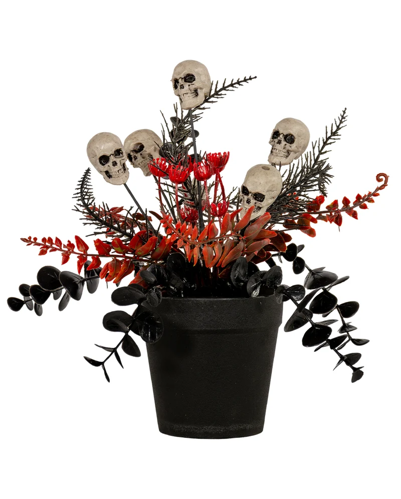 Midnight Gardens Totenkopf Topfpflanze 23cm
