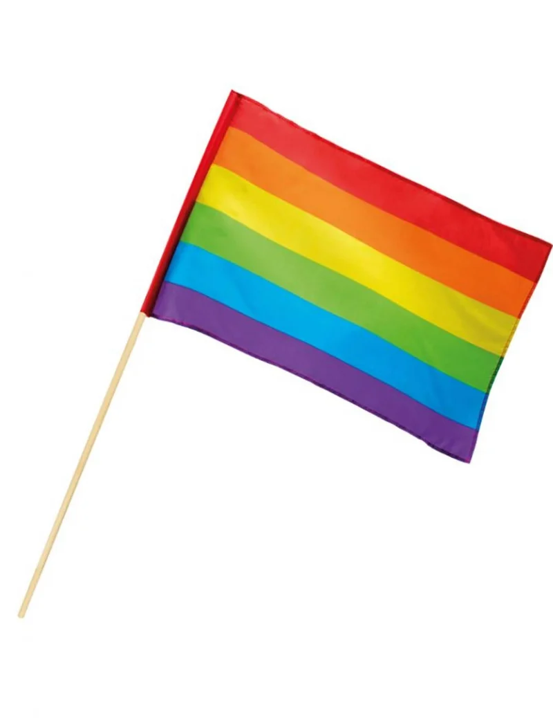 Regenbogen Flagge 30 x 45 cm