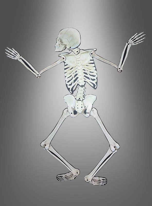Bewegliche Skelett Wanddeko 158cm