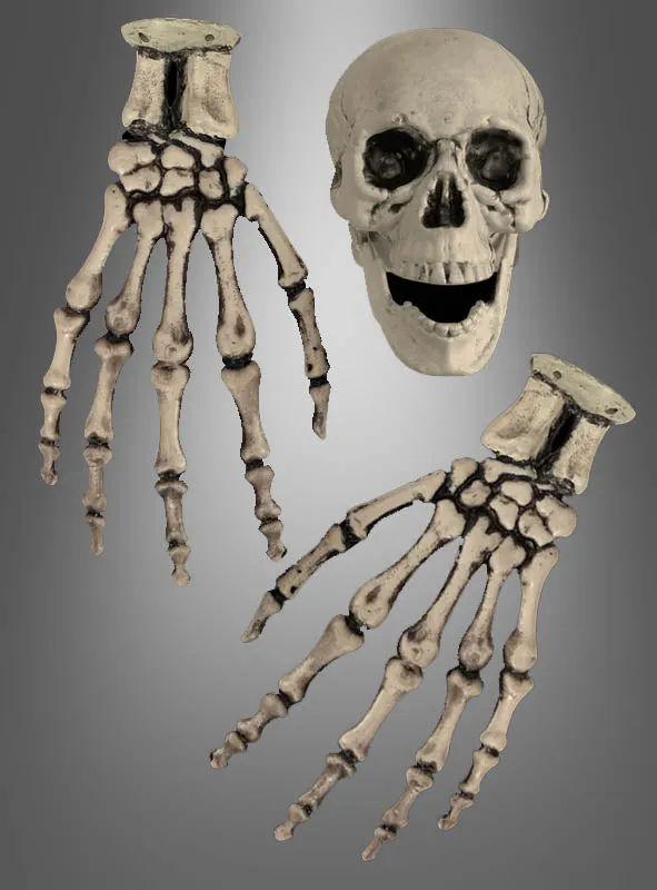 Skelett Hände und Totenkopf Schädel Set