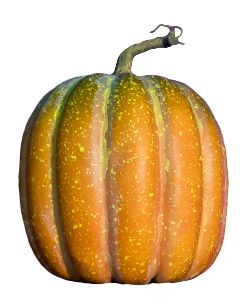Realistischer Kürbis in Herbstfarben 23x18cm