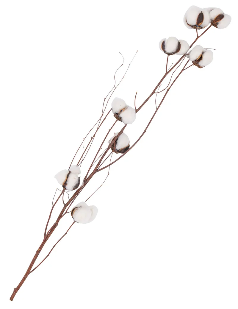 Dekozweig mit weißen Baumwollblüten 80 cm
