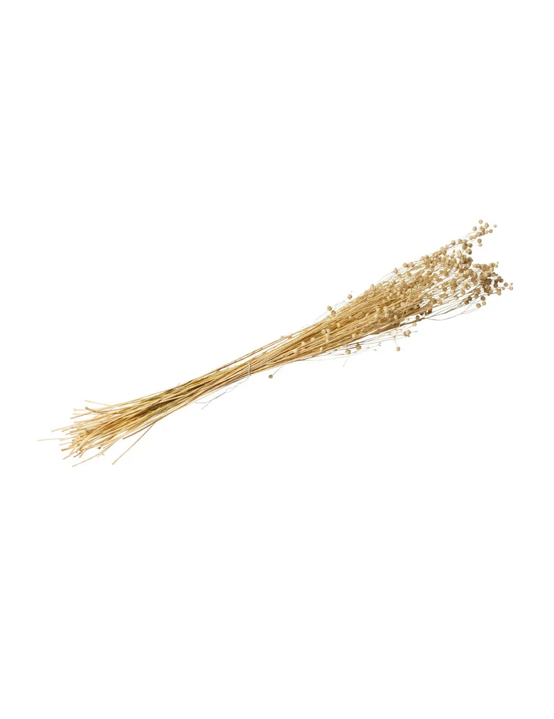 Natürlicher Trockenleinen-Strauß 50 g 70 cm Boho-Dekoration