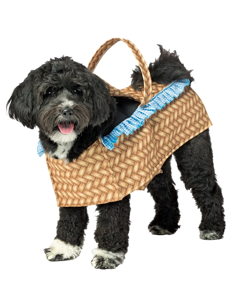 Hundekörbchen Kostüm für Hunde