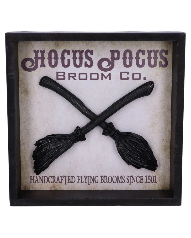 Hocus Pocus Hexenbesen im Bilderrahmen 20cm