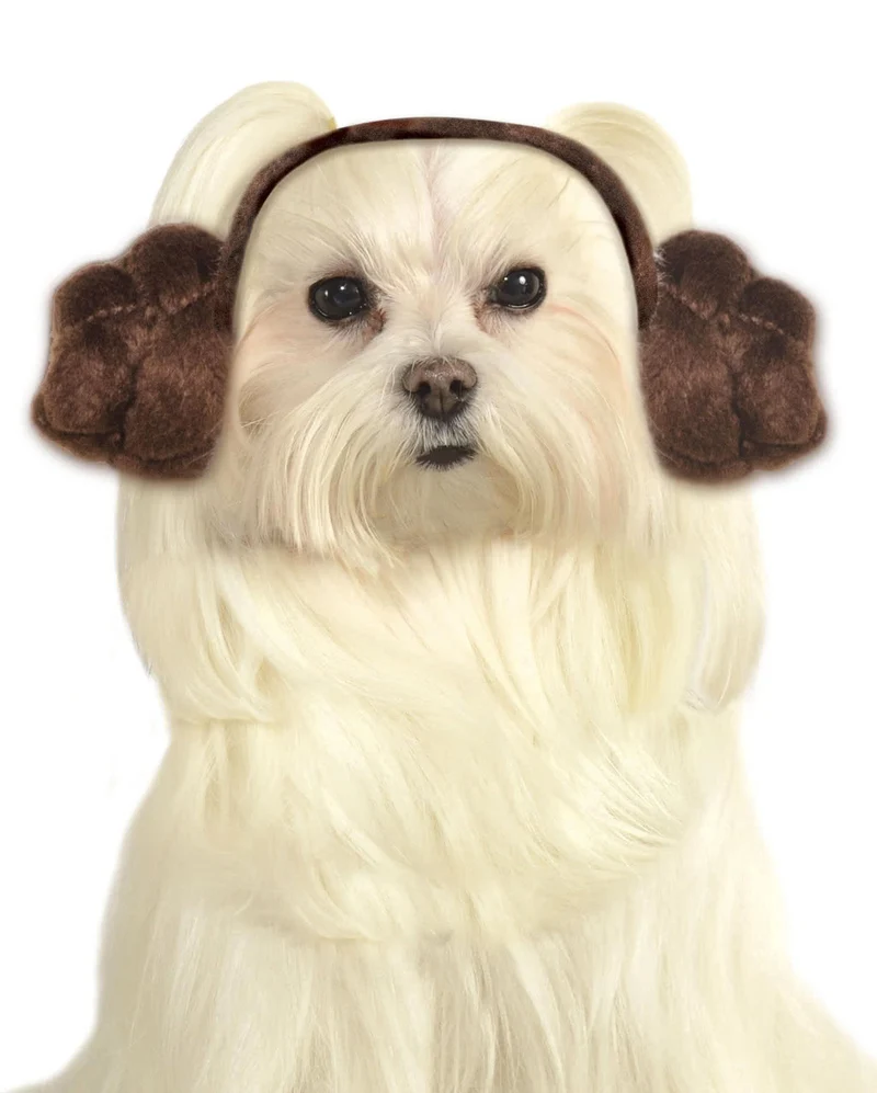 Prinzessin Leia Hundefrisur
