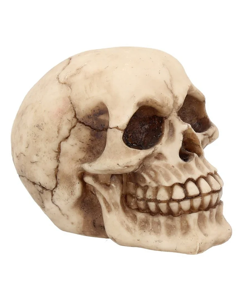 Kleiner Grinsender Totenkopf 12cm