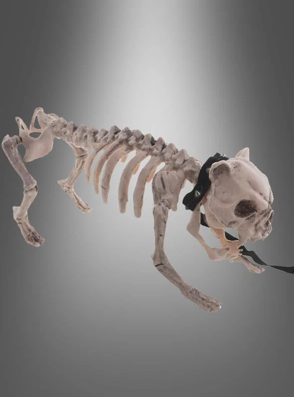 Skelett Hund Halloween Deko