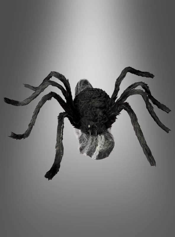 Springende Spinne 70x50cm animiert