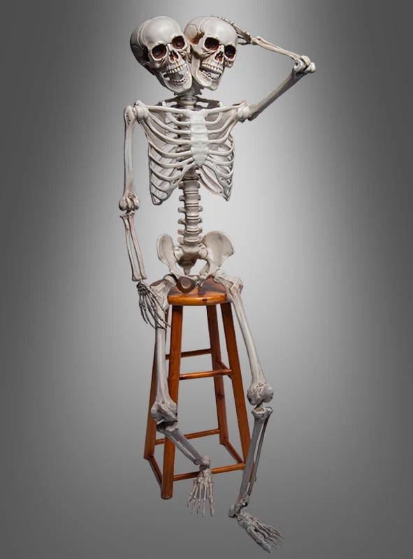 Skelett Mensch lebensgroß 153cm mit zwei Köpfen