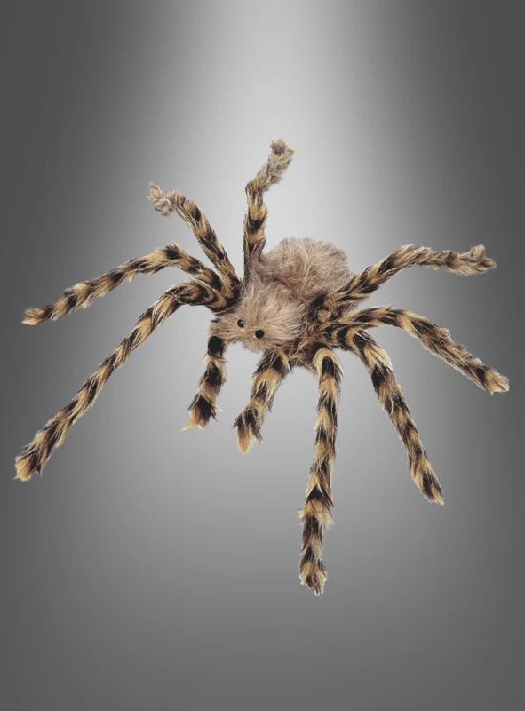 Langhaarige Riesenspinne 64cm braun