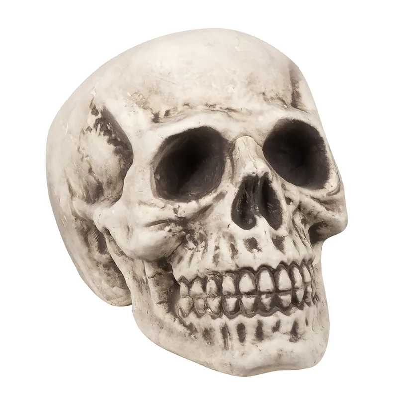 Schedel Bighead – Grote Halloween Schedel