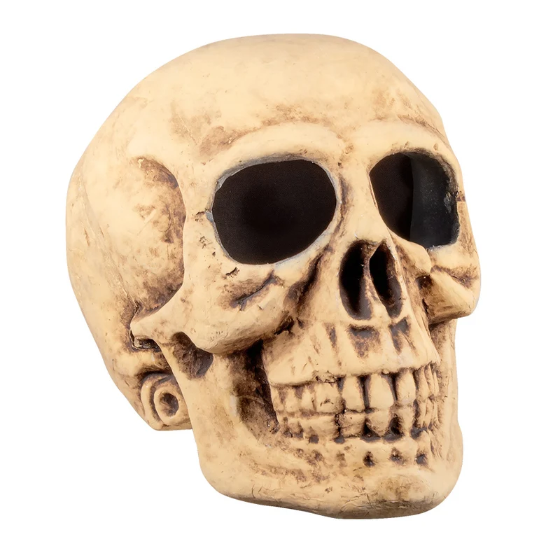 Schedel Masterbrain XL – schuimdecoratie - 35x35x47cm