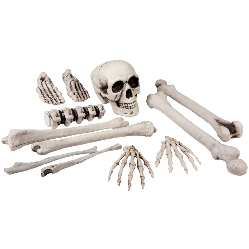 12 Doodshoofd en Beenderen – Griezelige Halloween Decoratie (40 cm)