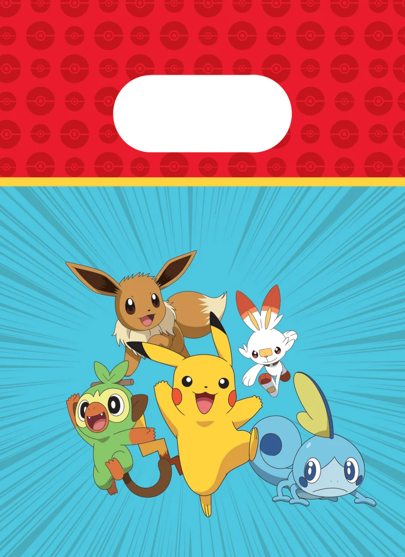 Pokemon Sharing Bags 22cm 4pcs