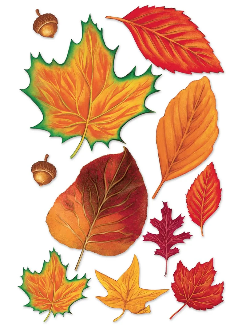 Sortiment von 11 Herbstblättern aus Karton