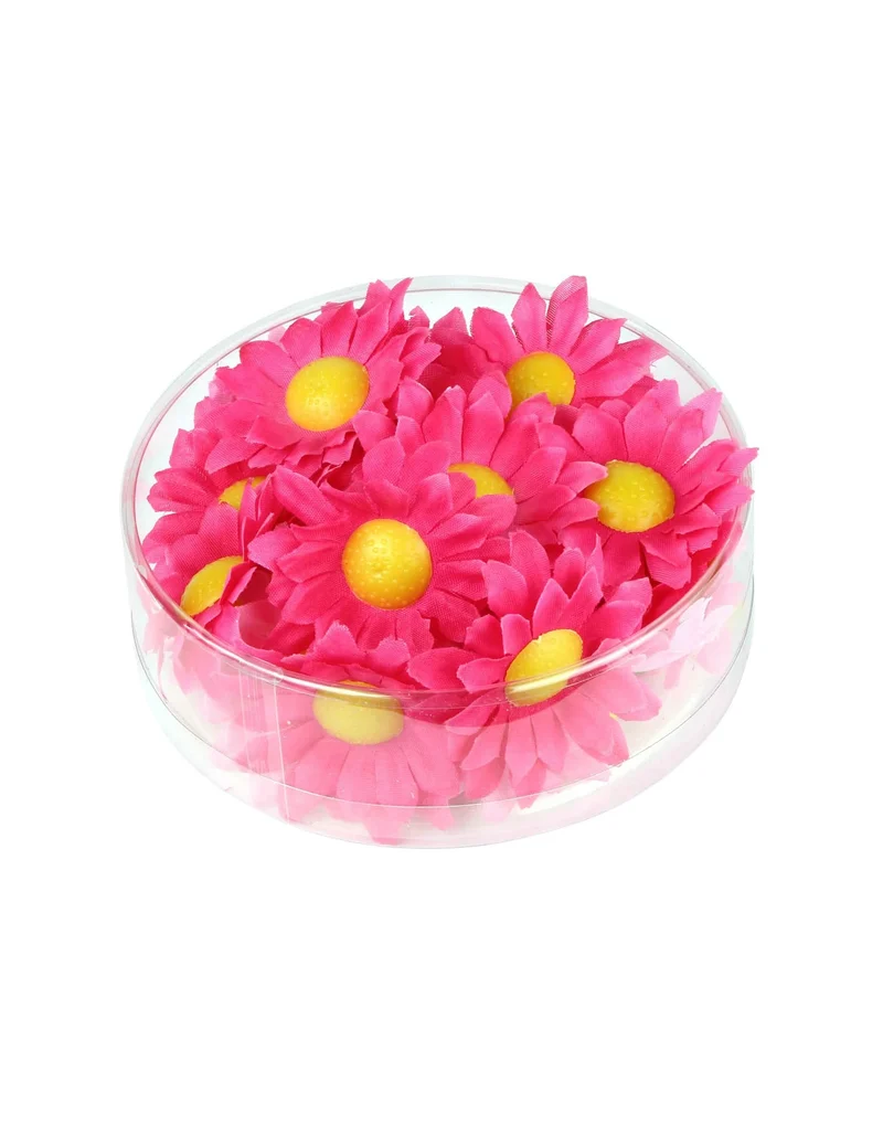 Box mit 20 rosa Margeritenblüten