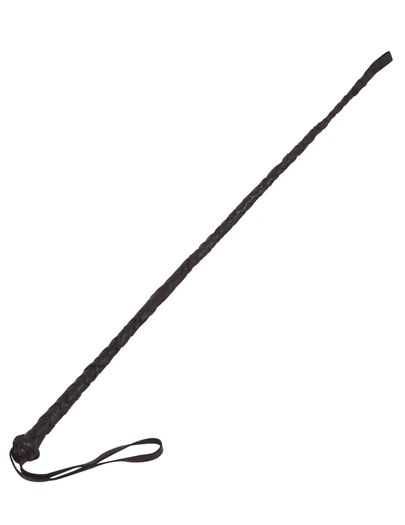 Schwarze Reitgerte 60 cm