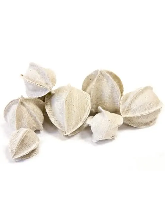 12 Naturleinen Physalis Dekorationen 3 bis 5 cm