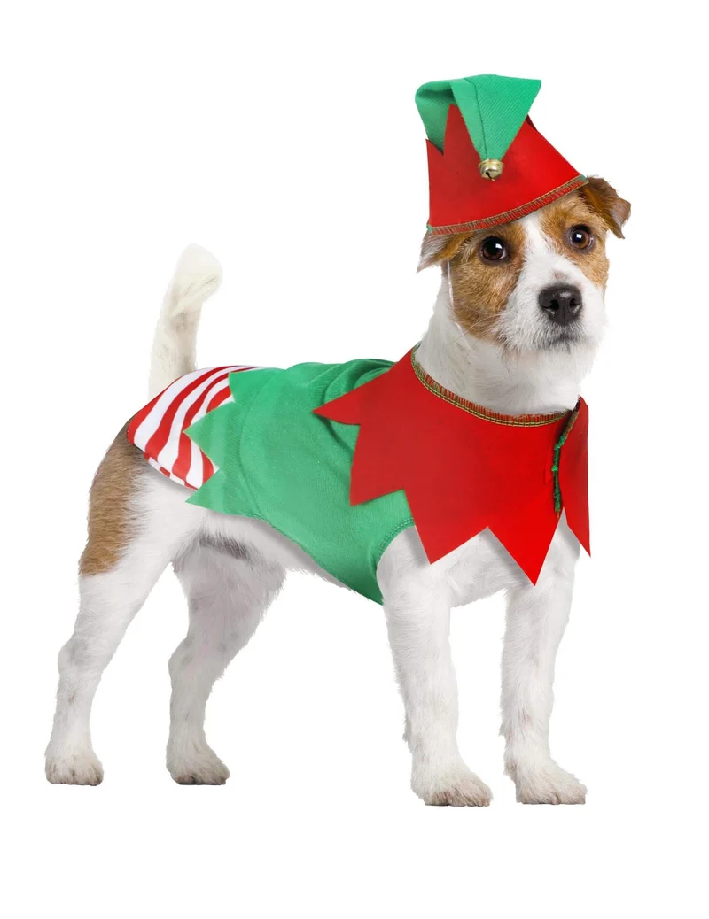 Weihnachts-Elf Kostüm für Hunde