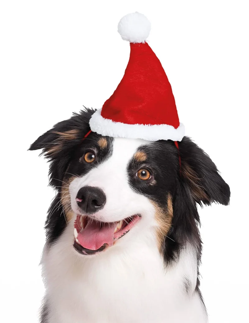 Weihnachtsmütze für Haustiere