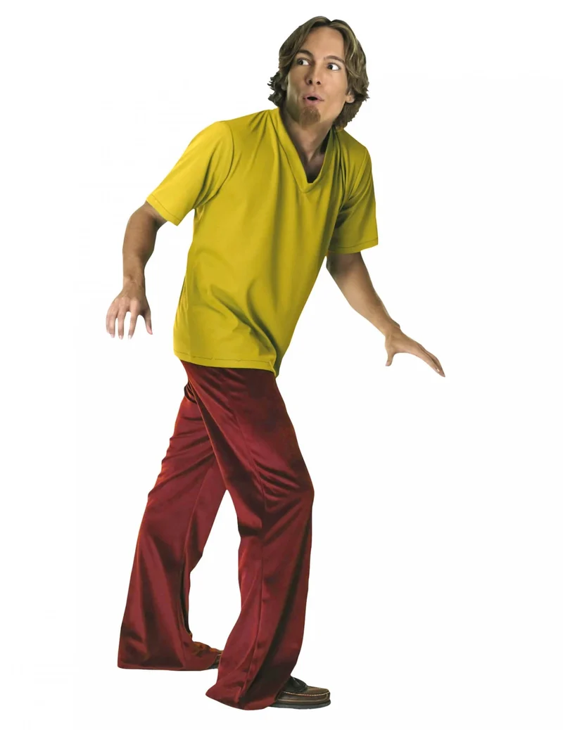 Shaggy™-Kostüm aus Scooby-Doo™ für Herren