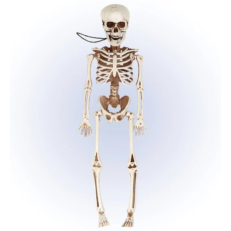 Halloween Skelett beweglich 40cm