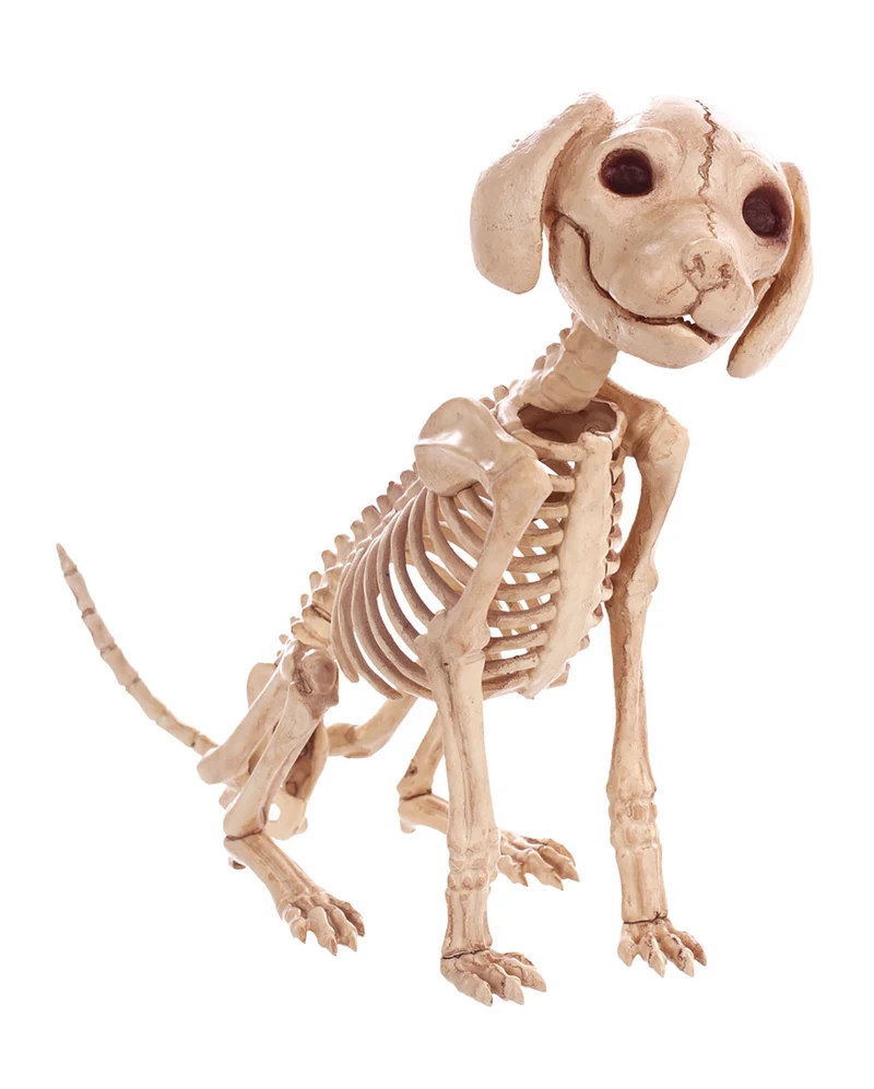 Sitzendes Hunde Skelett 30 cm