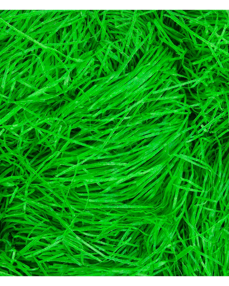 Grünes Ostergras 50 g