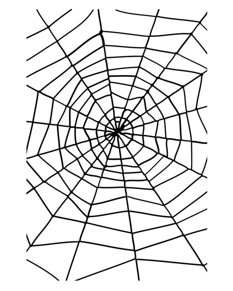 Spinnennetz Seil mit Spinne