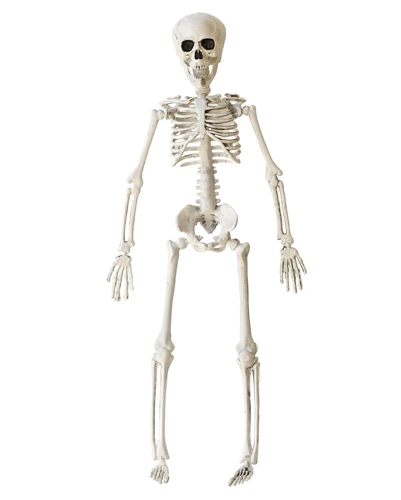 Halloween Skelett 40 cm