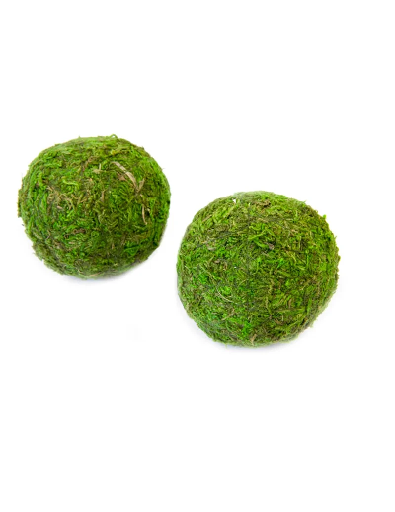 2 grüne Naturmoosbälle 7 cm Tischdeko